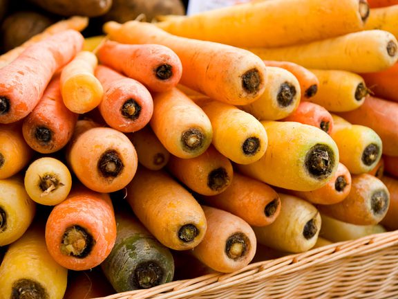 Visit Pinedale Blue Planet Foods