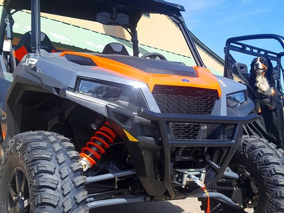 Visit Pinedale Buckys