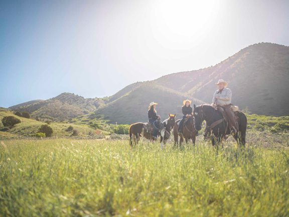 Horseback Riding Big Sandy Visit Pinedale
