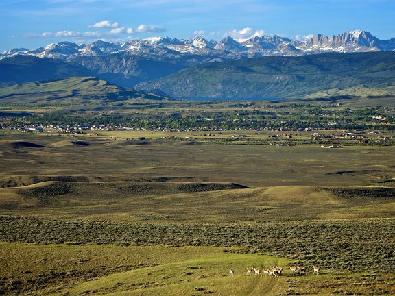 Pinedale WY