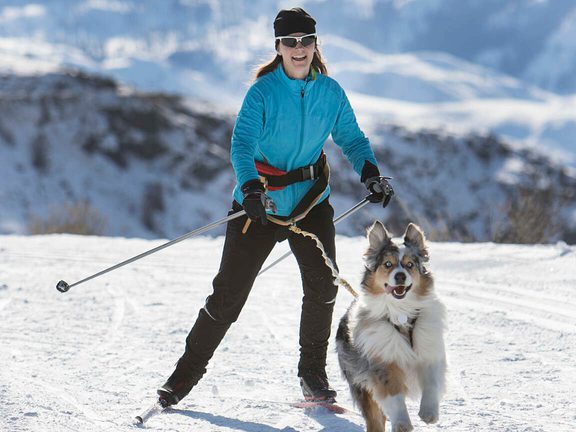 Skijoring Visit Pinedale