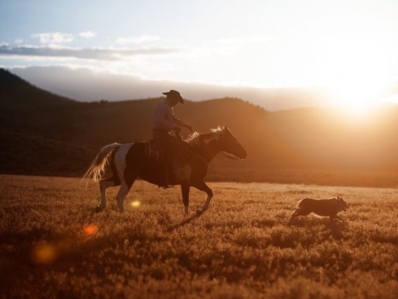 Visit Pinedale WY Summer Ranching